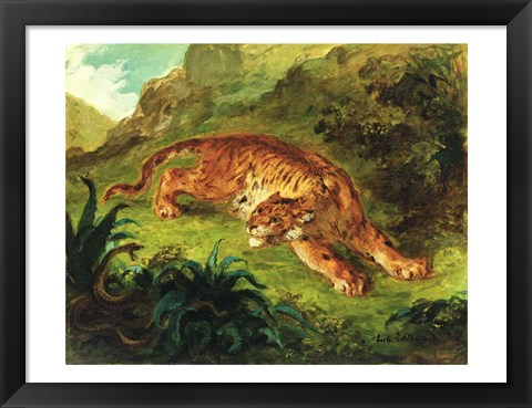 Framed Tiger and Snake, 1858 Print