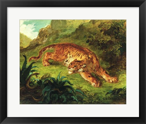 Framed Tiger and Snake, 1858 Print