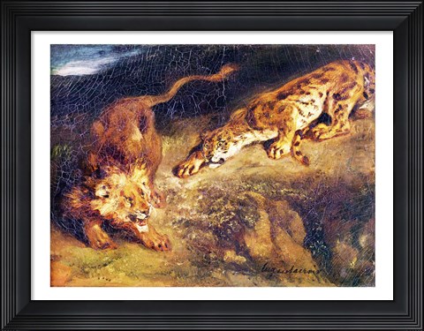 Framed Tiger and Lion Print