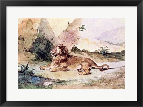 Framed Lion in the Desert, 1834 Print