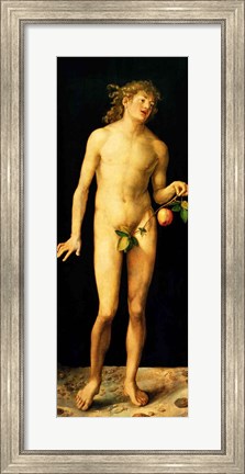 Framed Adam, 1507 Print