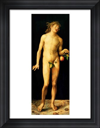 Framed Adam, 1507 Print