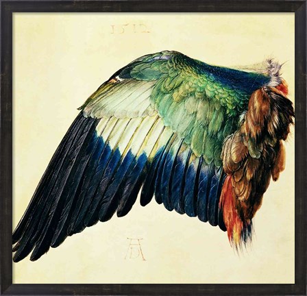 Framed Wing of a Blue Roller, 1512 Print