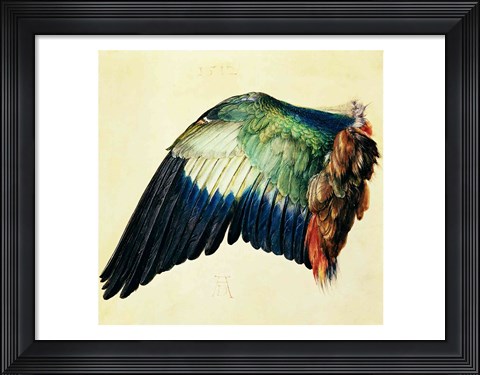 Framed Wing of a Blue Roller, 1512 Print