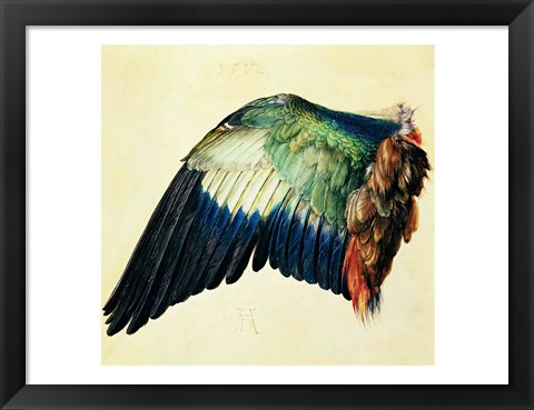 Framed Wing of a Blue Roller, 1512 Print