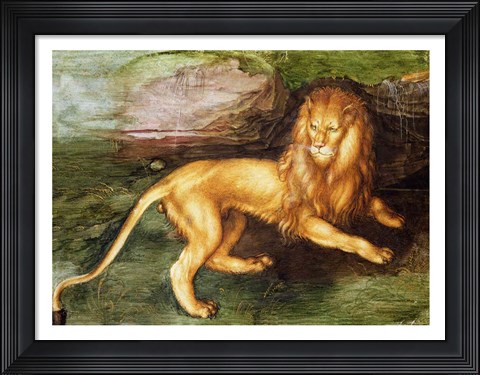 Framed Lion Print