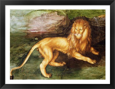 Framed Lion Print