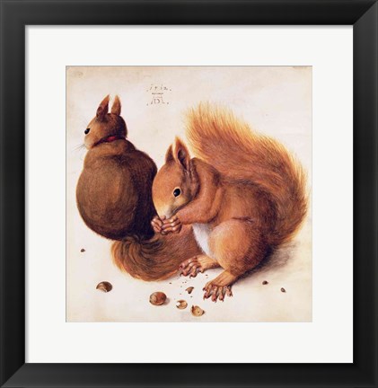 Framed Squirrels, 1512 Print