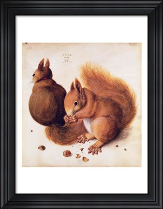 Framed Squirrels, 1512 Print