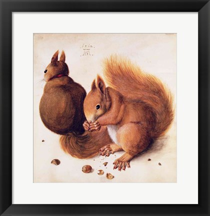 Framed Squirrels, 1512 Print