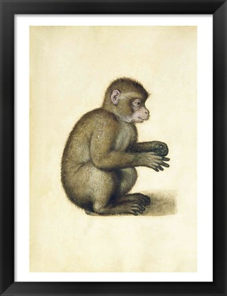 Framed Monkey Print