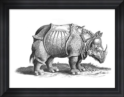 Framed Rhinoceros Print