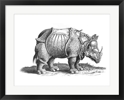 Framed Rhinoceros Print