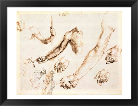 Framed Study of male hands and arms Print