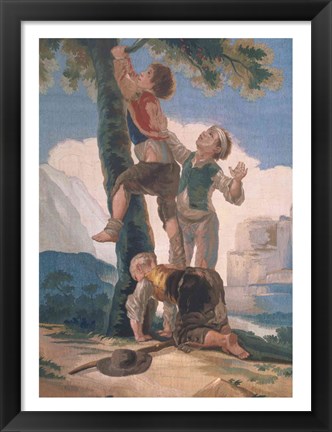 Framed Boys Climbing a Tree Print