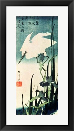 Framed White Heron and Iris Print