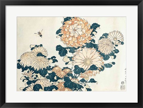 Framed Chrysanthemums Print