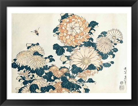 Framed Chrysanthemums Print