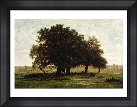 Framed Holm Oaks, Apremont Print