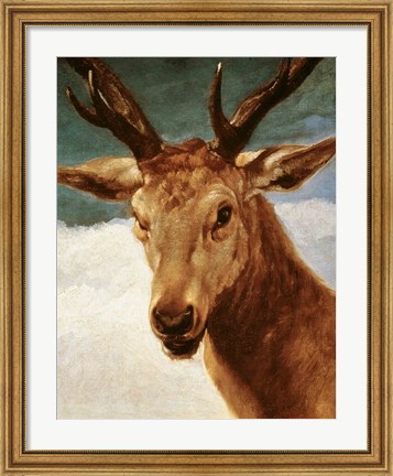 Framed Head of a Stag, 1634 Print