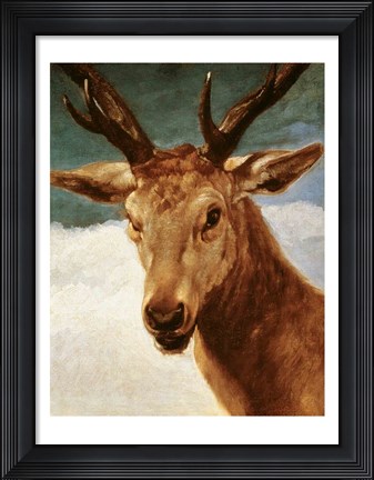 Framed Head of a Stag, 1634 Print
