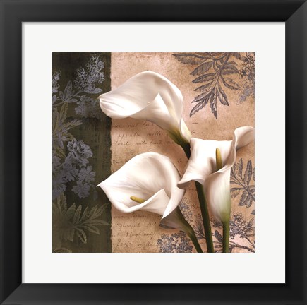 Framed Lily Fair Print