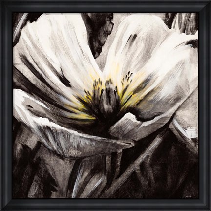 Framed Light &amp; Shadow Print