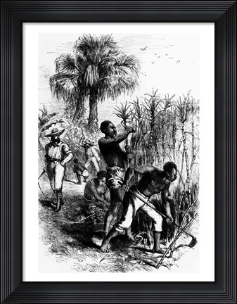 Framed Slaves Working on a Plantation Print