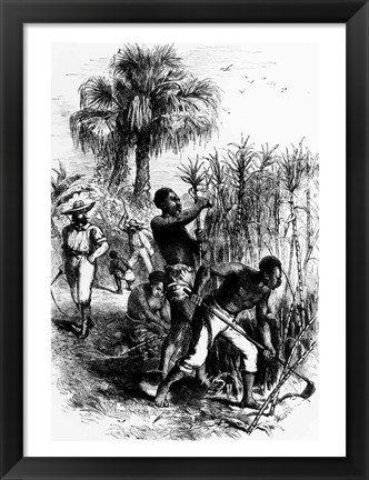 Framed Slaves Working on a Plantation Print