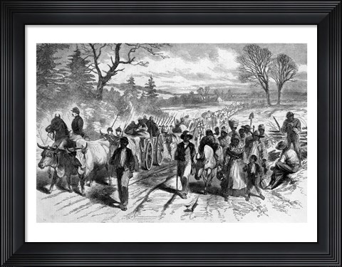 Framed Effects of the Proclamation: Freed Negroes Coming into Our Lines at Newbern, North Carolina Print
