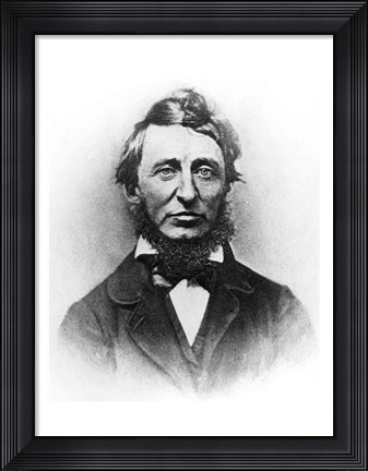 Framed Henry Thoreau Print