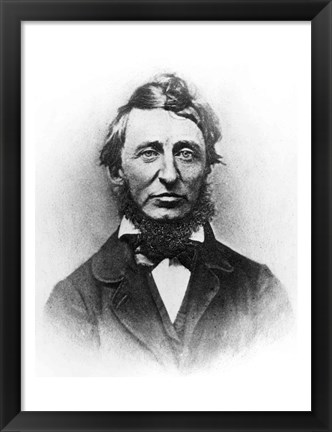 Framed Henry Thoreau Print