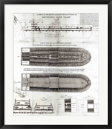 Framed Stowage of the British Slave Ship &#39;Brookes&#39; Under the Regulated Slave Trade Act of 1788 Print