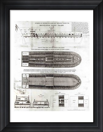 Framed Stowage of the British Slave Ship &#39;Brookes&#39; Under the Regulated Slave Trade Act of 1788 Print