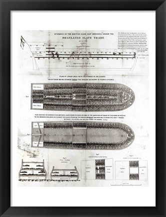 Framed Stowage of the British Slave Ship &#39;Brookes&#39; Under the Regulated Slave Trade Act of 1788 Print