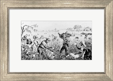 Framed Picking Cotton on a Southern Plantation Print