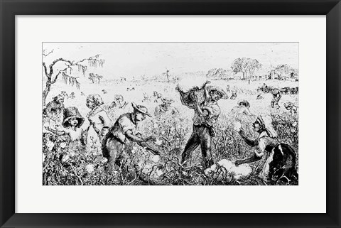 Framed Picking Cotton on a Southern Plantation Print