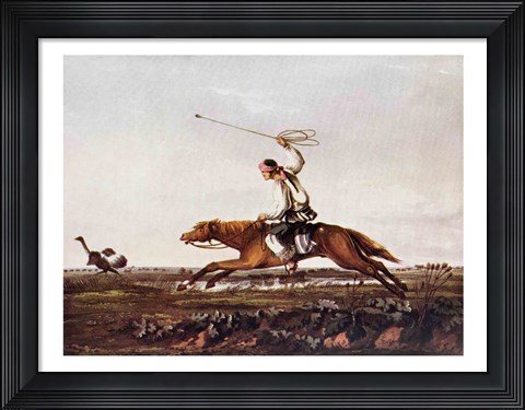 Framed Balling Ostriches Print