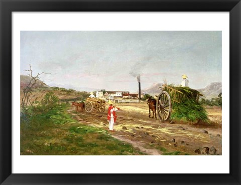 Framed Peasants Collecting Sugar Cane Print