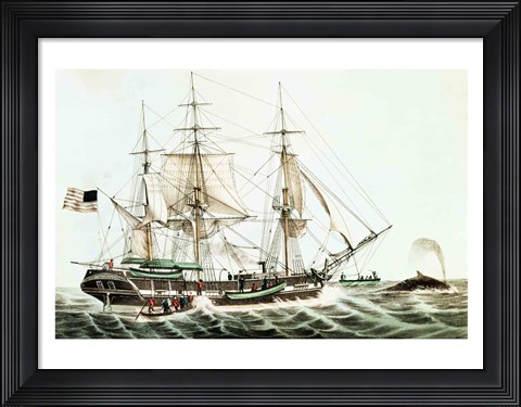 Framed American Whaler Print