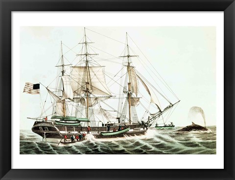 Framed American Whaler Print