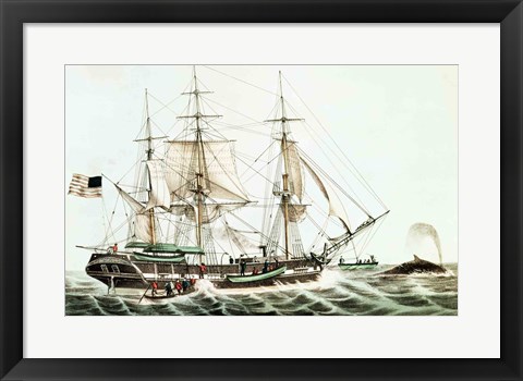 Framed American Whaler Print