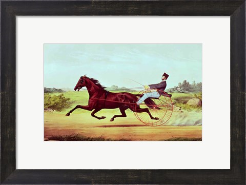 Framed Celebrated Horse Print