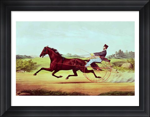 Framed Celebrated Horse Print