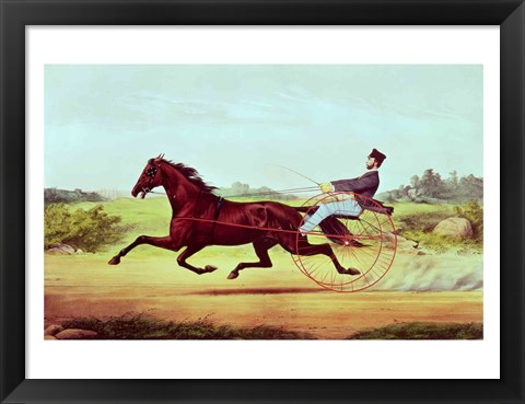 Framed Celebrated Horse Print