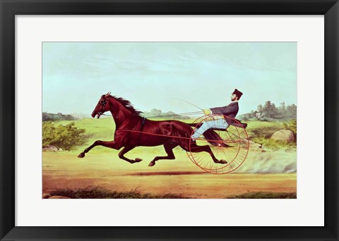 Framed Celebrated Horse Print