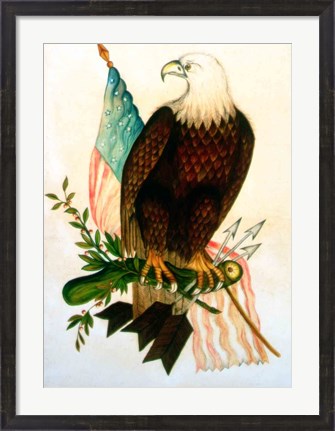 Framed Bald eagle with flag Print