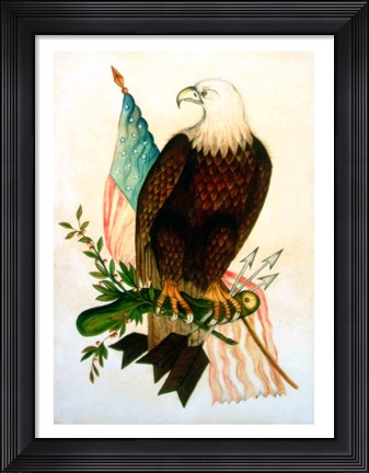Framed Bald eagle with flag Print