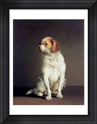 Framed Portrait of a King Charles Spaniel Print