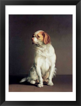 Framed Portrait of a King Charles Spaniel Print